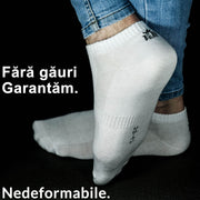 Sosete Scurte | Cutiuta "Confort Suprem" Nr. 7 | 12 perechi | 6x Negru, 6x Alb