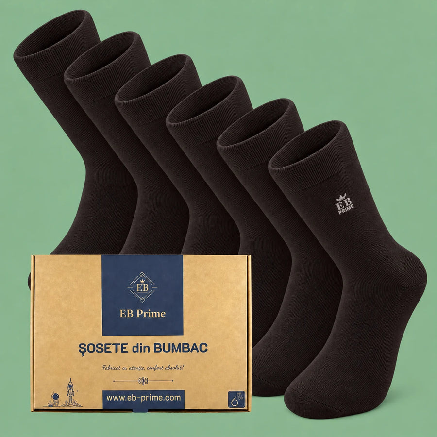 Sosete Clasice | Cutiuta „Stoc Saptamanal” Nr.15 | 6 perechi | 6x Brun