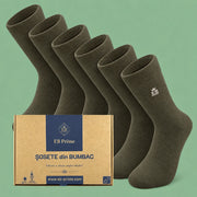 Sosete Clasice | Cutiuta „Stoc Saptamanal” Nr.16 | 6 perechi | 6x Kaki
